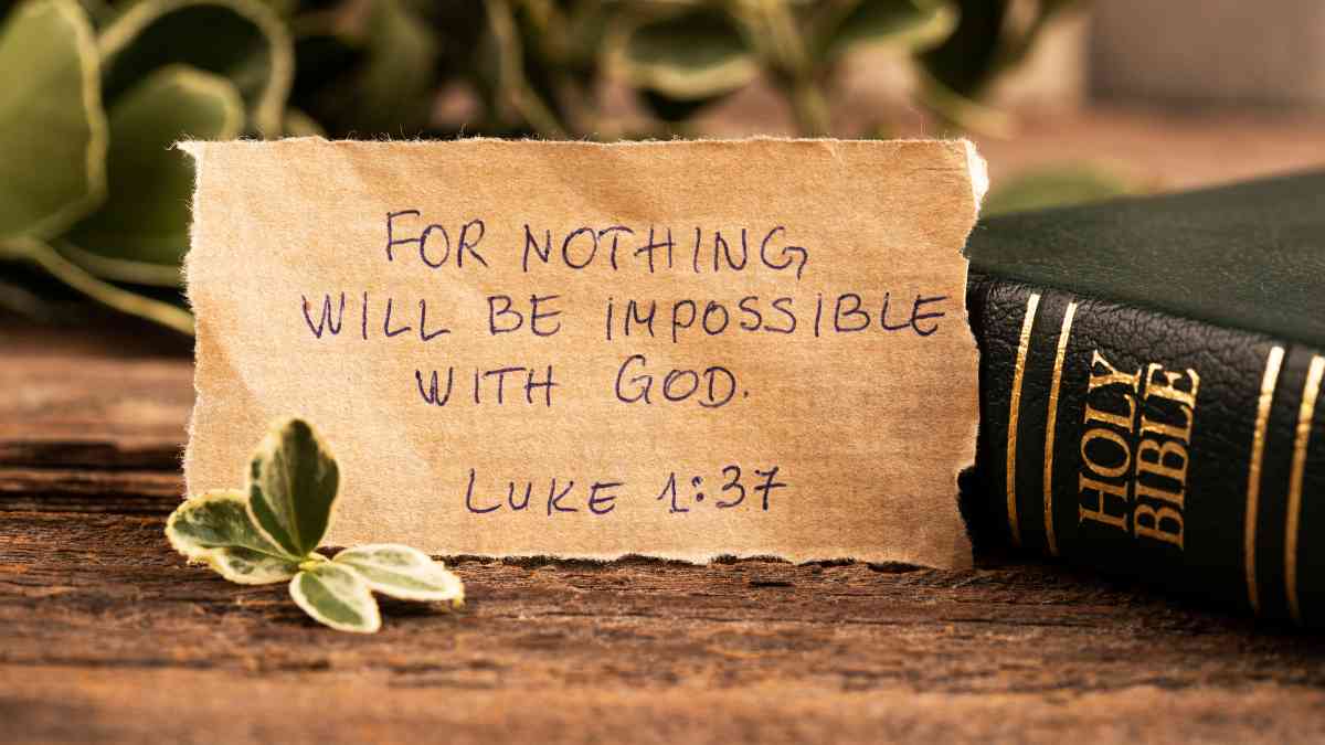 The Bible is a collection of religious texts that hold great significance in Christianity. Comprising both the Old and New Testaments, it covers various themes, including creation, salvation, morality, and the life and teachings of Jesus Christ. The Old Testament consists of 39 books that were written before the birth of Christ, while the New Testament contains 27 books focused on his life, death, and resurrection. Divided into chapters and verses for easy reference, the Bible serves as a guidebook for Christians seeking spiritual wisdom and guidance. It is revered as a sacred text believed to be divinely inspired by God and offers moral teachings applicable to daily life. Its influence extends beyond religious contexts by shaping literature, art, music, ethics, philosophy, politics, and societal values worldwide. As such an integral part of Christianity's foundation and ongoing practice today, its study remains essential in understanding this religion's beliefs and practices.