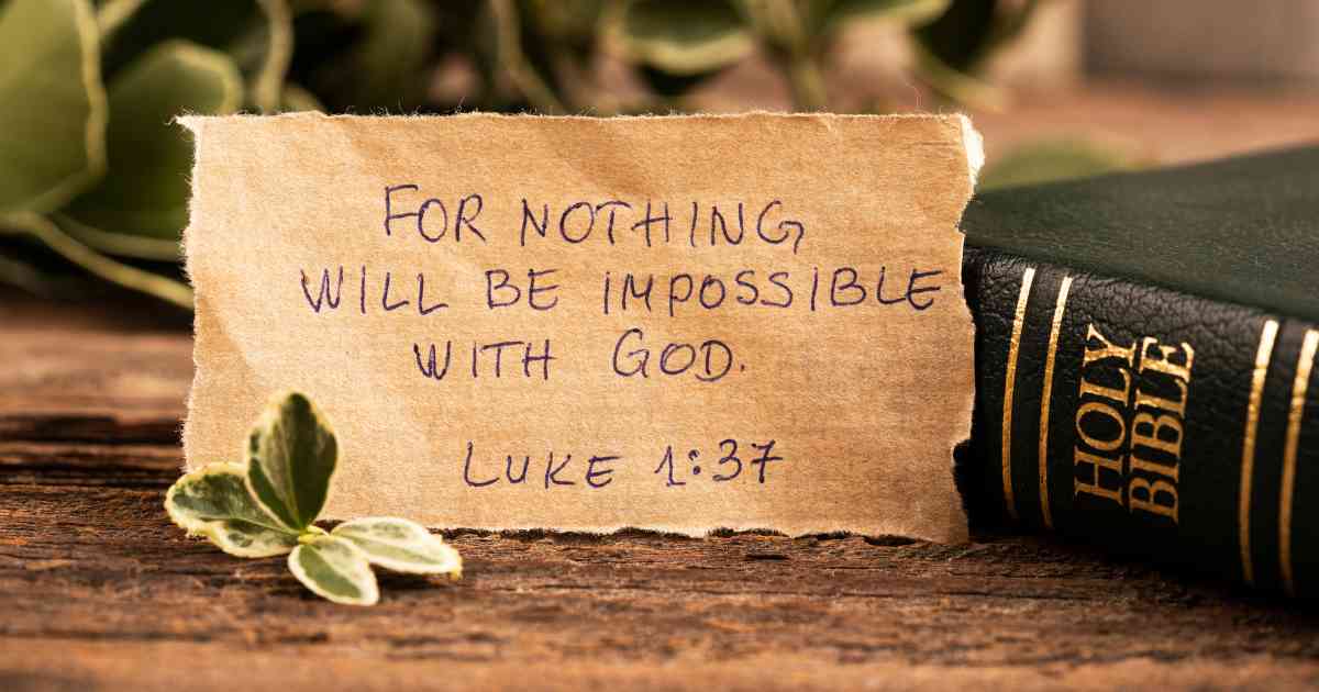 The Bible, an ancient collection of religious texts, holds a central place within Christianity as the inspired word of God. Comprised of two main sections, the Old and New Testaments, it serves as a foundational text that guides the beliefs and practices of Christian followers around the world. With its rich diversity of genres including historical narratives, poetry, prophecy, and letters from apostles, the Bible encapsulates essential teachings about God's love, humanity's fallen nature, redemption through Jesus Christ, and guidance for righteous living. Despite being written over a span of more than a thousand years by various authors, its themes coherently convey spiritual truths that nourish individuals' faith journeys. The Bible's significance is further enhanced by its profound influence on modern literature, art, philosophical thoughts, moral codes, and societal structures. Rigorous study techniques such as hermeneutics enable scholars to unpack nuanced interpretations while maintaining respect for biblical contexts. Consequently, countless believers find solace in regularly engaging with this timeless treasure trove that encapsulates divine wisdom and offers hope for eternal salvation in Christianity.