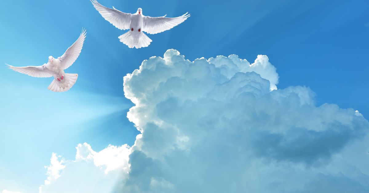 The Holy Spirit, as depicted in Christian theology, is often referred to as the third person of the Holy Trinity. This divine entity represents the presence and power of God within individuals and the Church as a whole. The Holy Spirit is believed to have a multifaceted role, manifesting in various ways throughout Scripture, including guiding, comforting, empowering, enlightening, and convicting believers. It is seen as actively involved in the process of sanctification, enabling individuals to develop an intimate relationship with God. Furthermore, the Holy Spirit is credited with imparting spiritual gifts upon believers for the building up of the body of Christ. These gifts can include prophecy, wisdom, discernment, healing powers, and many others. Overall, the understanding of the Holy Spirit differs among Christian denominations; however, it remains a fundamental belief that this divine presence operates within hearts and minds to draw people closer to God's will and purposes.