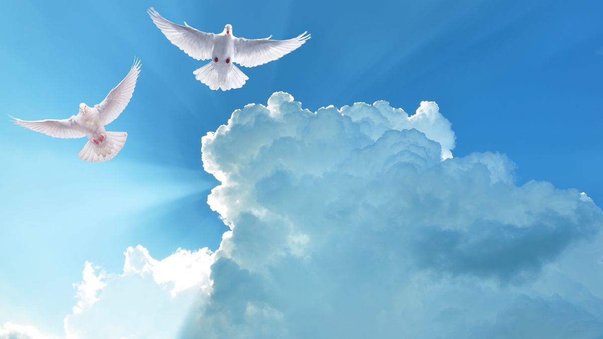 The Holy Spirit is an integral aspect of Christian theology and the third person of the Holy Trinity, along with God the Father and God the Son. It is believed to be a divine entity that guides, empowers, and transforms believers in their spiritual journey. Throughout biblical texts, the Holy Spirit is depicted as having multiple roles such as a comforter, counselor, advocate, and teacher. Christians believe that the Holy Spirit dwells within them after accepting Jesus Christ as their savior. This indwelling presence grants believers access to spiritual gifts and leads them in understanding scripture and discerning God's will. The Holy Spirit also plays a crucial role in inspiring worship, fostering unity within the church community, and convicting individuals of sin or wrongdoing. As such, understanding how to cultivate a relationship with the Holy Spirit through prayer, study of scripture, and cultivating spiritual disciplines is vital for believers seeking a rich and transformative faith experience.