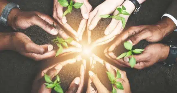 Sowing and reaping is a fundamental principle in the realm of professional development and success, rooted in the concept that the effort and dedication one puts into their work will yield corresponding outcomes. Just as a farmer must carefully plant seeds, nurture them with water and sunlight, and patiently wait for the harvest, professionals must invest time, energy, and resources into their craft to see tangible results. This principle underscores the importance of setting goals, working diligently towards them, remaining persistent in the face of challenges, and cultivating a strong work ethic. By sowing seeds of hard work, innovation, collaboration, and continuous learning in their professional endeavors, individuals can expect to reap bountiful rewards such as career advancement, recognition from peers and superiors, financial growth, and personal fulfillment. In essence, sowing and reaping epitomizes the notion that success is not merely handed out but earned through perseverance and resilience.